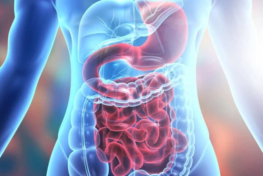 Gastrointestinal